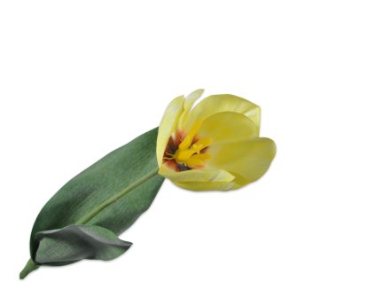 Tulipán žltý 36cm