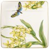 Dezertný tanier Amazonia, 23 cm x 23 cm – Villeroy & Boch 1